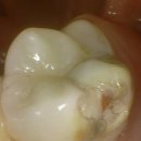 올바로치과의원 이미지