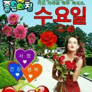 수요일 이미지