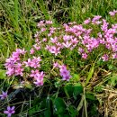 밴드 이야기 이미지