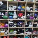 병점태양권투체육관 이미지