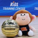 나름 귀엽게 잘 뽑힌 KBL(한국농구협회 a.k.a크블) 공식 캐릭터 굿즈 인형.jpg 이미지