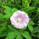 청살림영농조합법인 이미지