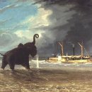 수원-1873 이미지