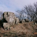 자은초등학교 병설유치원 이미지