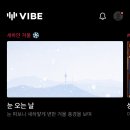 VIBE PC 이미지