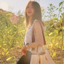 가방하니 이미지