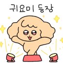러블리펫샵 이미지