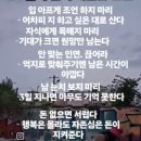생쥐의 운명 이미지