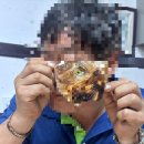 덕암식당 | 뜰에식당 덕암점