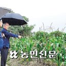 강원농협(본부장 장덕수 56회), 폭우 피해 농가 지원 온힘 이미지