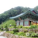 신도1400 이미지