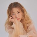 하진정보
