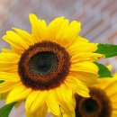 54부동산공인중개사사무소 이미지