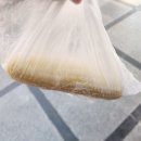 까로치아모가점 네이버블로그