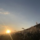 제주 오름 산책 | 제주 새별오름 산책 후기 I 오르지 않아도 예쁜 서쪽 오름 갈대·일몰 명소