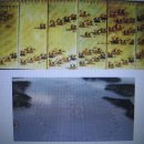 해전실비 이미지