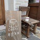 하이오동
