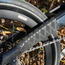 스테이버디 이미지