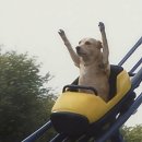 부용슈퍼 | (구 파라스파라) 안토 서울 우디플레이트 호캉스 조식 후기 feat. 자세한 (존맛 메뉴 추천까지...)