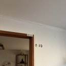 민박바당집 이미지