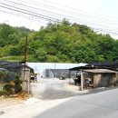 영월-91