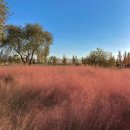 어우림(주) | 가을 여행지로 좋은 순천_1박 2일 우정여행코스 총정리