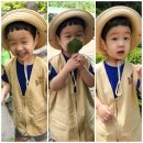 어울림숲어린이집 이미지