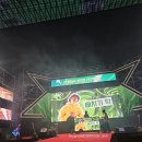 두꺼비노래클럽 | 공연 보러 갔는데 맥주를 주네?? 부산센텀 맥주축제 배치기 탁 공연후기