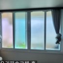 상우유리