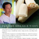 백설연차 이미지