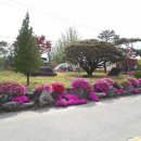 남상면사무소 이미지