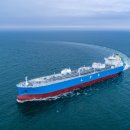 매일엘피지 이미지