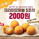 모짜 스트레이트뉴스
