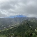 그란피코 이미지