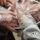 낭산농장 | 아이들과 다녀온 하림 치킨로드 공장 체험 후기 (닭고기 제조과정이 한눈에!)