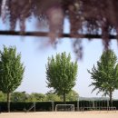 합도초등학교 이미지