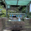 뒷골참샘 이미지