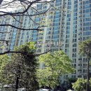 고양대로 255번길 이미지