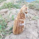 웅기농장 이미지