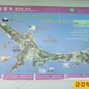 형제자전차 이미지