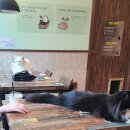 떡전골로 이미지