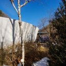 파인빌펜션 | 겨울 숲속에서 찾은 나만의 쉼표! 가평글램핑 파인포레스트 글램핑 후기