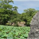 유등연지입구 이미지