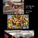 휴림펜션B Daum카페