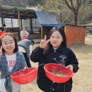 백호목장 이미지