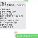 500 당구클럽 | 맹그로브 룸메이트 캠프 후기_1탄