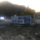 다육이 판매밴드에서 만나 다육 농장 추천 안동 미다모아 다육