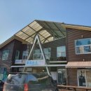 충남농원염소 이미지