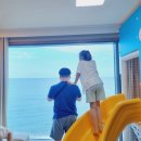 UR(김천시)-[자산로]-상-2 | 영덕1박2일 대게맛집 벌영리 메타세콰이어숲 시포트리조트 바다구경 완벽한 가족여행!