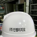 (주)인텔리지오